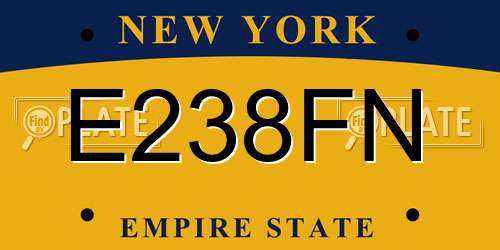 E238FN New York License Plate