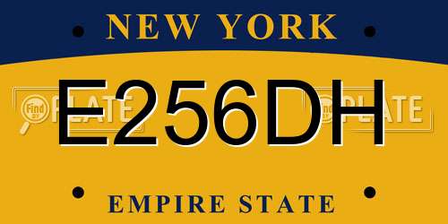 E256DH New York License Plate