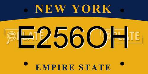 E256OH New York License Plate