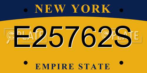 E25762S New York License Plate