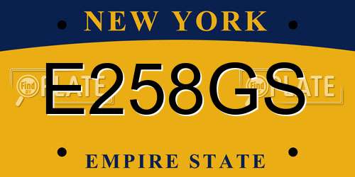 E258GS New York License Plate