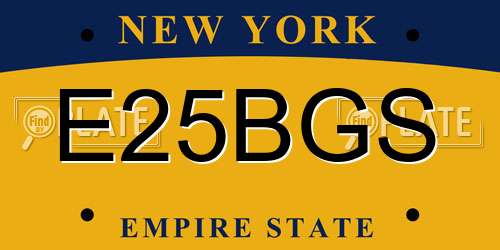 E25BGS New York License Plate