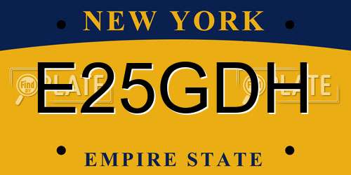 E25GDH New York License Plate