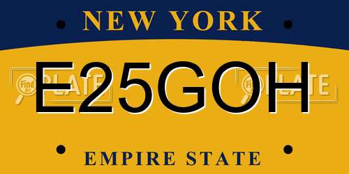 E25GOH New York License Plate