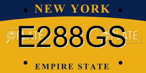 E288GS New York License Plate