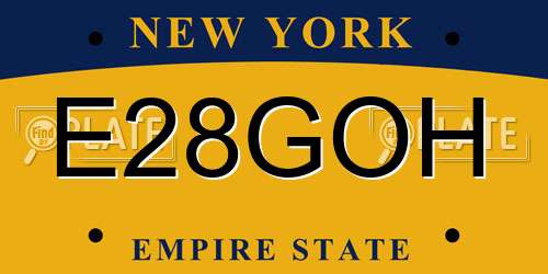 E28GOH New York License Plate