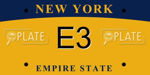 E3 New York License Plate
