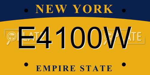 E4100W New York License Plate