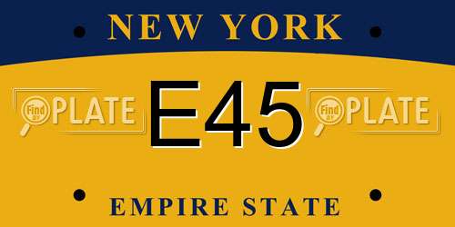 E45 New York License Plate