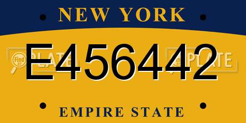 E456442 New York License Plate