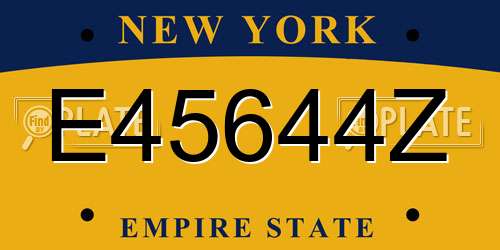 E45644Z New York License Plate