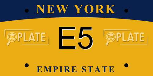 E5 New York License Plate