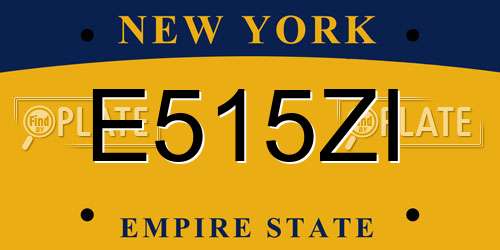 E515ZI New York License Plate