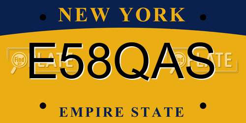 E58QAS New York License Plate