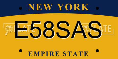 E58SAS New York License Plate
