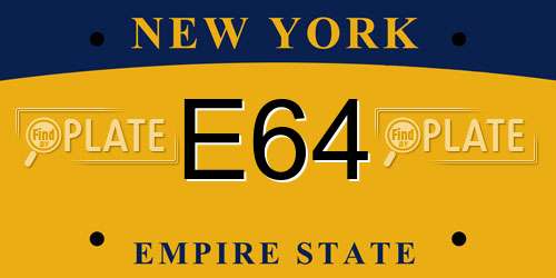 E64 New York License Plate