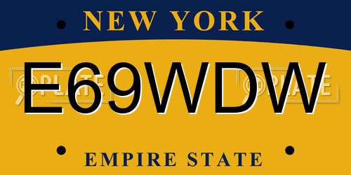 E69WDW New York License Plate