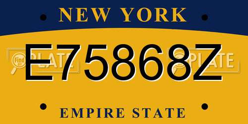 E75868Z New York License Plate