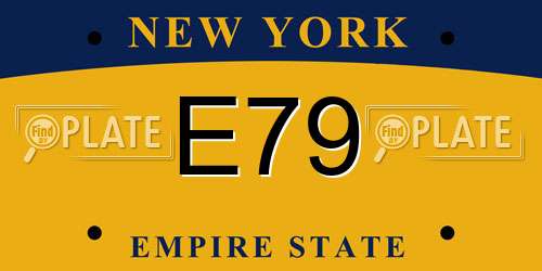 E79 New York License Plate