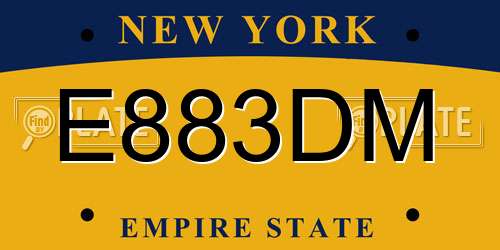 E883DM New York License Plate