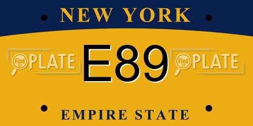 E89 New York License Plate