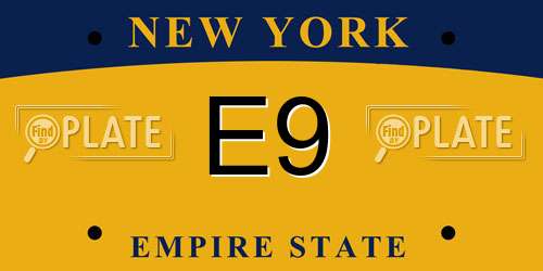 E9 New York License Plate