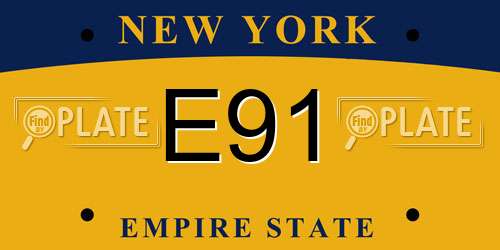 E91 New York License Plate