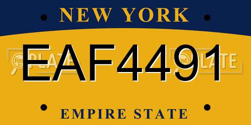 EAF4491 New York License Plate