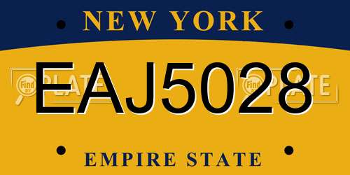 EAJ5028 New York License Plate