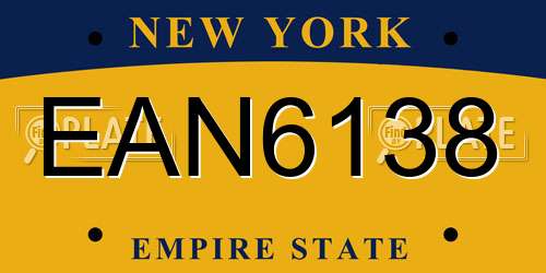 EAN6138 New York License Plate