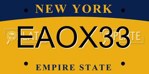 EAOX33 New York License Plate