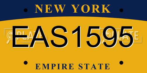 EAS1595 New York License Plate