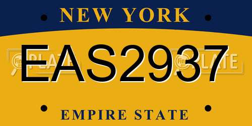 EAS2937 New York License Plate