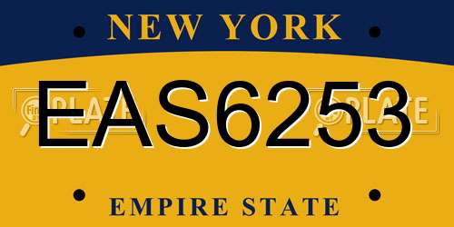 EAS6253 New York License Plate