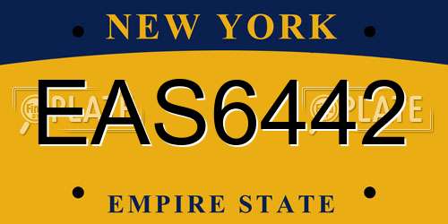 EAS6442 New York License Plate