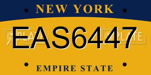 EAS6447 New York License Plate