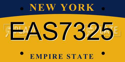 EAS7325 New York License Plate