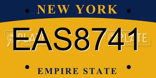 EAS8741 New York License Plate