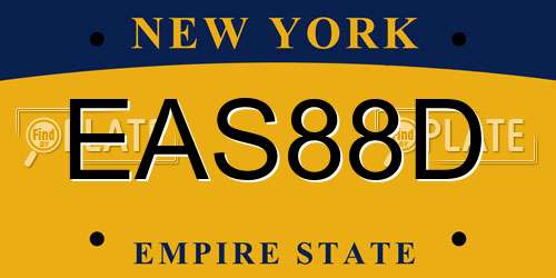 EAS88D New York License Plate