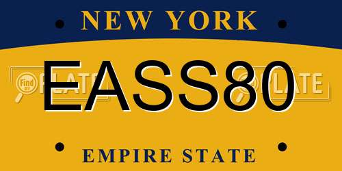 EASS80 New York License Plate