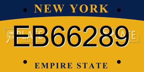 EB66289 New York License Plate