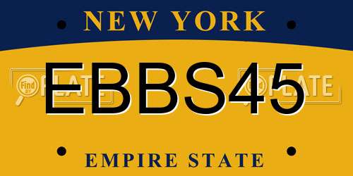 EBBS45 New York License Plate
