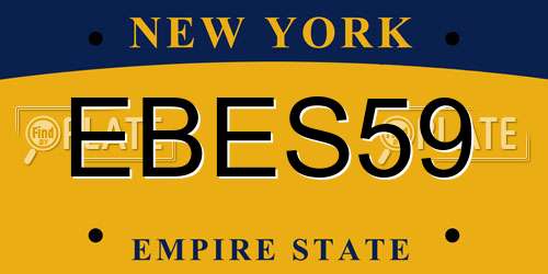 EBES59 New York License Plate