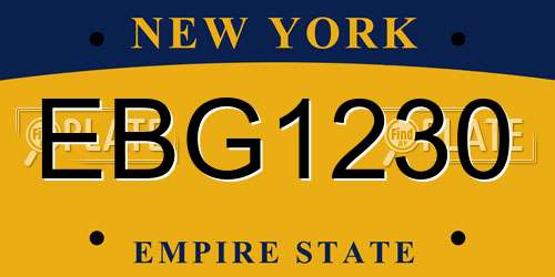 EBG1230 New York License Plate