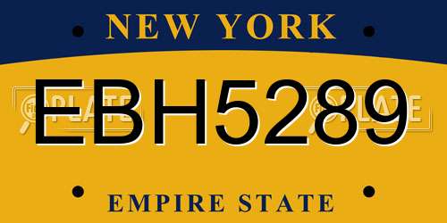 EBH5289 New York License Plate