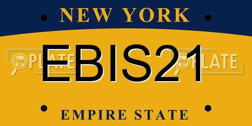 EBIS21 New York License Plate