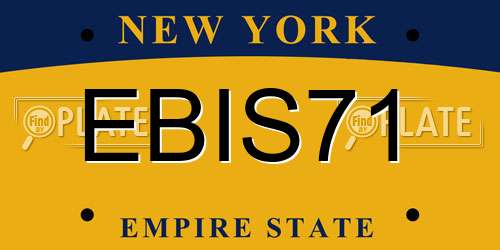 EBIS71 New York License Plate
