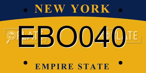 EBO040 New York License Plate