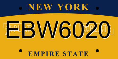 EBW6020 New York License Plate