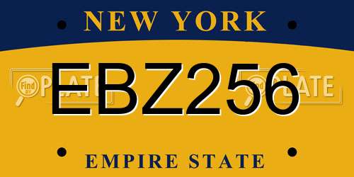 EBZ256 New York License Plate